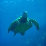 Vinny's Bar and Grill